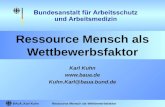 BAuA, Karl KuhnRessource Mensch als Wettbewerbsfaktor Karl Kuhn  Kuhn.Karl@baua.bund.de.