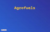 Agrofuels. 2 Agenda  1. Tag  Einordnung des Themas  (vorgebrachte) Gründe für „Bio“-Sprit  Ausmaß der politischen Vorgaben / Prognosen künftiger Entwicklung.