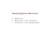 Morphologische Merkmale   Merkmale   Merkmale in der Linguistik   Merkmale in der Morphologie
