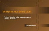 Enterprise Java Beans (EJB) Projekt Verteilte Informationssysteme Freitag, 3.11.2000 Gerald Weber.