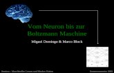 Vom Neuron bis zur Boltzmann Maschine Miguel Domingo & Marco Block Seminar : Maschinelles Lernen und Markov KettenSommersemester 2002.