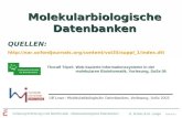 Vorlesung Einführung in die Bioinformatik - U. Scholz & M. Lange Folie #2-1 Molekularbiologische Datenbanken QUELLEN: .