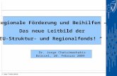 „Regionale Förderung und Beihilfen – Das neue Leitbild der EU-Struktur- und Regionalfonds! “ Dr. Jorgo Chatzimarkakis Brüssel, 20. Februar 2009