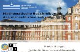 Martin Burger Institut für Numerische und Angewandte Mathematik CeNoS Mathematische Beschreibungen des menschlichen Lebens.