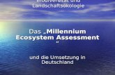 Biodiversität und Landschaftsökologie Das „Millennium Ecosystem Assessment “ und die Umsetzung in Deutschland.