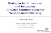 Biologische Strukturen und Prozesse. Ansätze terminologischer Wissensmodellierung Stefan Schulz Abteilung Medizinische Informatik Universitätsklinikum.