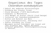 Organismus des Tages Clostridium acetobutylicum Geburt der modernen Biotechnologie Gründung des Staates Israel Chaim Weizmann (*1874 Westrußland) Chemiker.