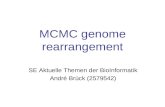 MCMC genome rearrangement SE Aktuelle Themen der BioInformatik André Brück (2579542)