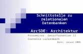 Schnittstelle zu relationalen Datenbanken ArcSDE: Architektur Proseminar: Geoinformation II Cornelia Lückenbach Bonn, Januar 2005.