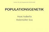 POPULATIONSGENETIK Haas Isabella Holzmüller Eva Seminar für LAK (Angewandte Mathematik)