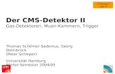 Vorlesung 4 CMS II Der CMS-Detektor II Gas-Detektoren, Muon-Kammern, Trigger Thomas Schörner-Sadenius, Georg Steinbrück (Peter Schleper) Universität Hamburg.