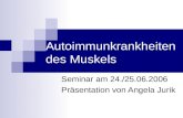 Autoimmunkrankheiten des Muskels Seminar am 24./25.06.2006 Präsentation von Angela Jurik.