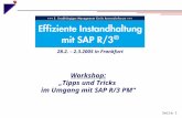 Seite 1 Workshop: „Tipps und Tricks im Umgang mit SAP R/3 PM“ 28.2. – 2.3.2005 in Frankfurt.