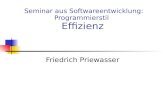 Seminar aus Softwareentwicklung: Programmierstil Effizienz Friedrich Priewasser.