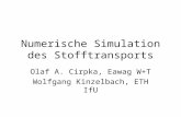 Numerische Simulation des Stofftransports Olaf A. Cirpka, Eawag W+T Wolfgang Kinzelbach, ETH IfU.