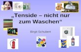 „Tenside – nicht nur zum Waschen“ Birgit Schubert.