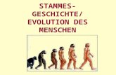 STAMMES- GESCHICHTE/ EVOLUTION DES MENSCHEN. Belege zur Evolution Komparative Anatomie Adaptation Paleontologische Belege, Biogeographische B. Embryonale.
