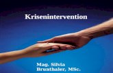 Krisenintervention Mag. Silvia Brunthaler, MSc.. Krise Krise : Verlust des psychischen Gleichgewichts; Ereignisse oder Lebensumstände können nicht bewältigt