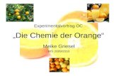 Experimentalvortrag OC „Die Chemie der Orange“ Meike Griesel WS 2009/2010.