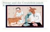 Prione und die Creutzfeld-Jakob Krankheit. Creutzfeld-Jakob Eine beim Menschen bislang sehr selten auftretende, tödlich verlaufende und transmissible.