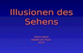 1 Illusionen des Sehens Marco Walser Didaktik der Physik SS 07.