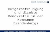 Oliver Wiedmann – Mehr Demokratie e.V. –  Bürgerbeteiligung und direkte Demokratie in den Kommunen Brandenburgs.