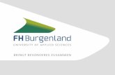 Die FH Burgenland ist der ideale Standort für Wachstum. Eine einzigartige Community aus Lehrenden, VertreterInnen der Praxis und Forschung bzw. StudentInnen.