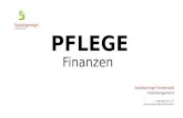 PFLEGE Finanzen Sozialsprengel Vorderwald Casemanagement Langenegg, Bach 127 .