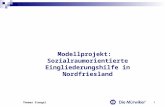 Thomas Stengel 1 Modellprojekt: Sozialraumorientierte Eingliederungshilfe in Nordfriesland.