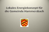 Lokales Energiekonzept für die Gemeinde Hammersbach.