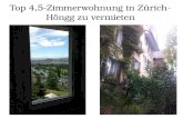 Top 4,5-Zimmerwohnung in Zürich- Höngg zu vermieten.