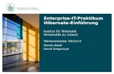 Enterprise-IT-Praktikum Hibernate-Einführung Institut für Telematik Universität zu Lübeck Wintersmester 2012/13 Dennis Boldt David Gregorczyk.