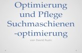 Optimierung und Pflege Suchmaschienen -optimierung von David Ruzic