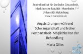 Zentralinstitut für Seelische Gesundheit, Medizinische Fakultät Mannheim / Universität Heidelberg  Angststörungen während Schwangerschaft.