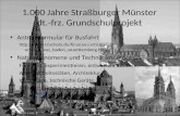 1.000 Jahre Straßburger Münster dt.-frz. Grundschulprojekt Antragsformular für Busfahrt .