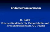 1 Endometriumkarzinom H. Kölbl Universitätsklinik für Geburtshilfe und Frauenkrankheiten JGU Mainz