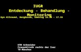 IUGR Entdeckung - Behandlung - Monitoring KTM Schneider Frauenklinik rechts der Isar TU München Gyn Allround, Hurgharda, Samstag 16.30 - 17.15.