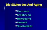 Die Säulen des Anti-Aging Hormone Hormone Ernährung Ernährung Bewegung Bewegung Umwelt Umwelt Spiritualität Spiritualität.