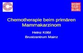 Chemotherapie beim primären Mammakarzinom Heinz Kölbl Brustzentrum Mainz.
