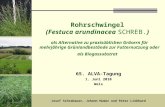 18. Mai 20091 Rohrschwingel (Festuca arundinacea SCHREB.) als Alternative zu praxisüblichen Gräsern für mehrjährige Grünlandbestände zur Futternutzung.