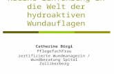 Kleine Einführung in die Welt der hydroaktiven Wundauflagen Catherine Bürgi Pflegefachfrau zertifizierte Wundmanagerin / Wundberatung Spital Zollikerberg.