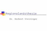Regionalanästhesie Dr. Herbert Steininger. 2 Regionalanästhesie (RA) Definition: Injektion von Lokalanästhetika in die Nähe von Nerven, Nervenwurzeln.