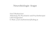 Neurobiologie Angst Josef Marksteiner Abteilung für Psychiatrie und Psychotherapie LKH Klagenfurt E-Mail: josef.marksteiner@kabeg.at.