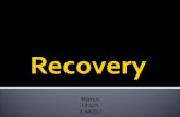 Marco Fitsch 2 AKELI. 1.) Was bedeutet Recovery?Was bedeutet Recovery? 2.) Gründe für InformationsverlustGründe für Informationsverlust 3.) technische