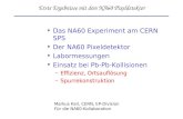 Erste Ergebnisse mit dem NA60 Pixeldetektor Das NA60 Experiment am CERN SPS Der NA60 Pixeldetektor Labormessungen Einsatz bei Pb-Pb-Kollisionen –Effizienz,