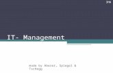 IT- Management made by Aberer, Spiegel & Tschegg 3HW.