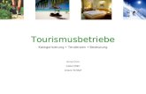 Tourismusbetriebe Kategorisierung Tendenzen Bedeutung Anna Corn Isabel Mähr Ariane Schöpf.