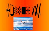 Beschreibung: Die Boeing 787 ist ein Verkehrsflugzeug des US- amerikanischen Flugzeugherstellers Boeing auf dem neusten Stand der Technik. Der Tiefdecker.