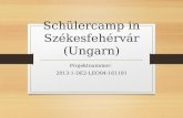 Schülercamp in Székesfehérvár (Ungarn) Projektnummer: 2013-1-DE2-LEO04-161181.