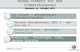 KEDOQ-Schmerz Das Projekt - Kerndatensatz, Erhebungszeitpunkte Release Kerndatensatz 2015.3 – was ist neu ? Aktueller Stand – Benchmark - Demoversion Diskussion.